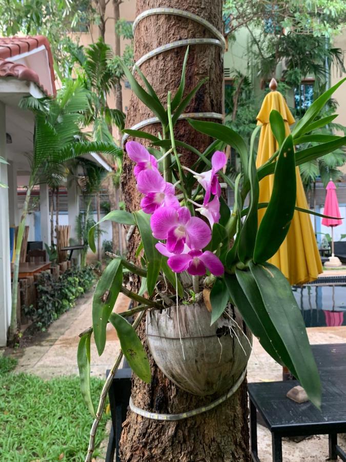 Angkor Magic Tree Boutique Hotel Siem Reap Bagian luar foto