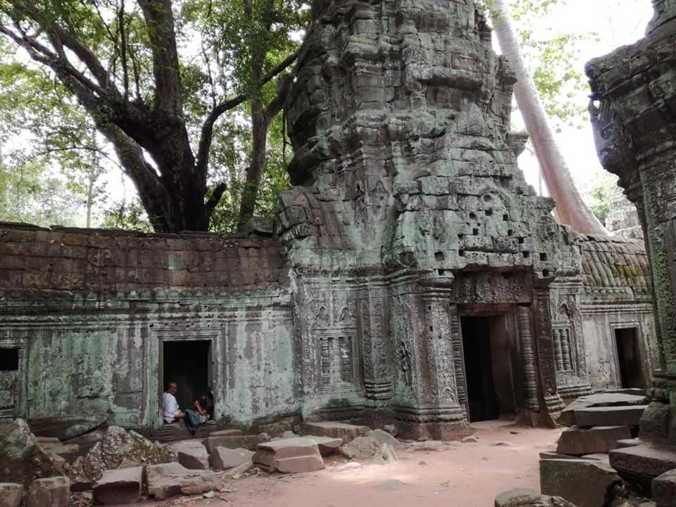 Angkor Magic Tree Boutique Hotel Siem Reap Bagian luar foto