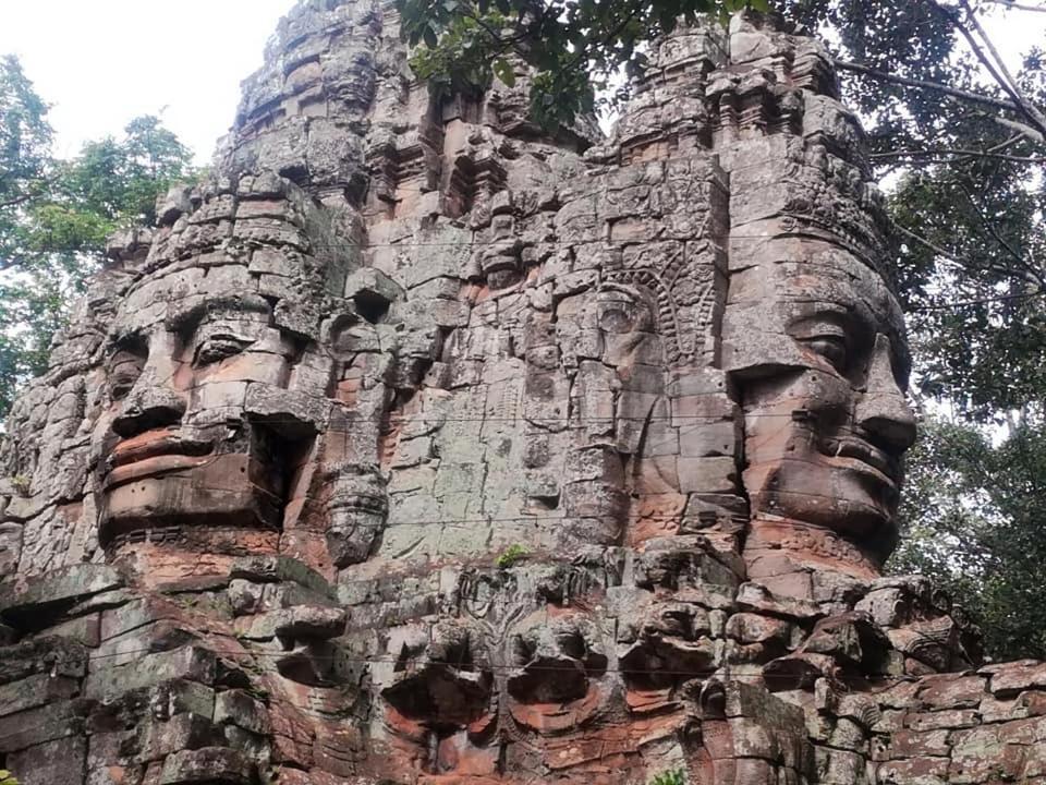 Angkor Magic Tree Boutique Hotel Siem Reap Bagian luar foto