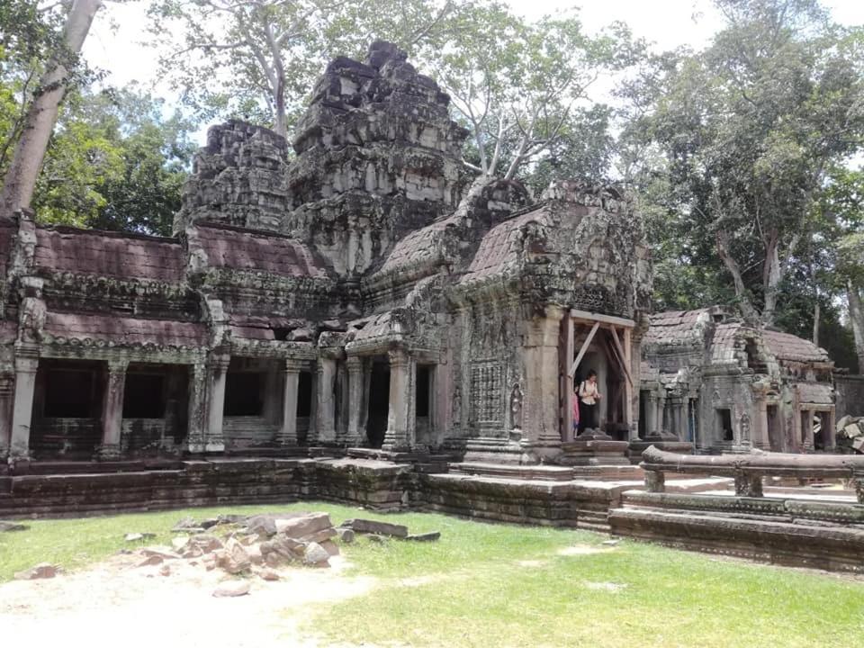 Angkor Magic Tree Boutique Hotel Siem Reap Bagian luar foto